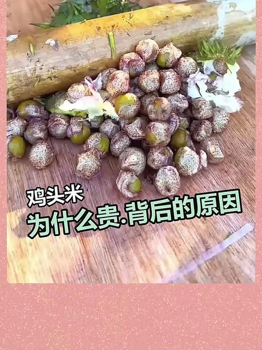 鸡头米为什么贵背后的原因