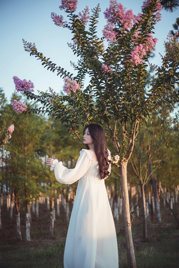图片[7]-森系小精灵-六色网