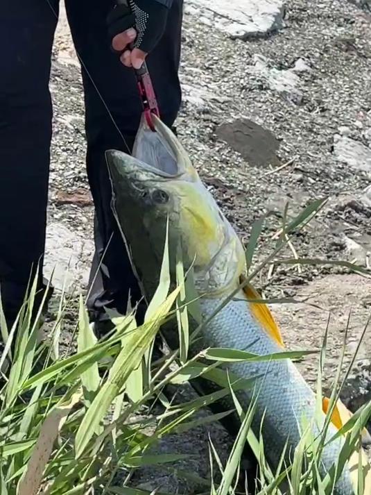 带粉丝玩路亚第三期 这次来到南京高淳带粉丝钓鳡鱼
