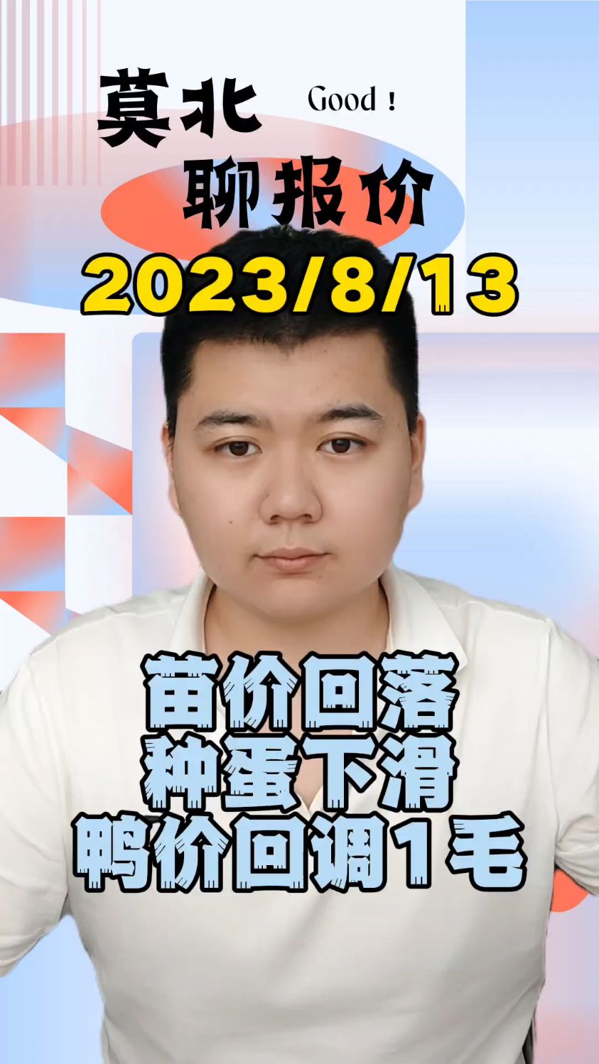 8月13号最新鸭价,白鸭苗价多次冲关失败,白鸭苗北稳南落,南方再次下跌2毛,目前鸭苗