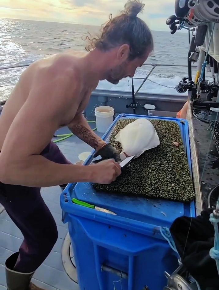 老外都是如何杀鱼的,不到1分钟就能处理好1条大鱼,大开眼界啊