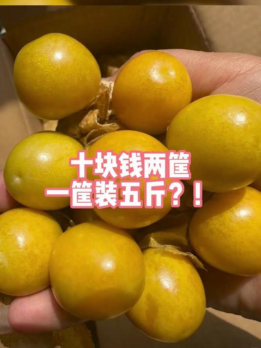 十块钱两筐一筐装五斤?!