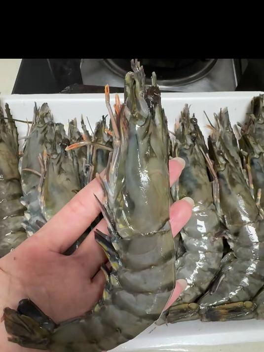 烤超大黑虎虾！焦香四溢，咬着爆汁超馋人