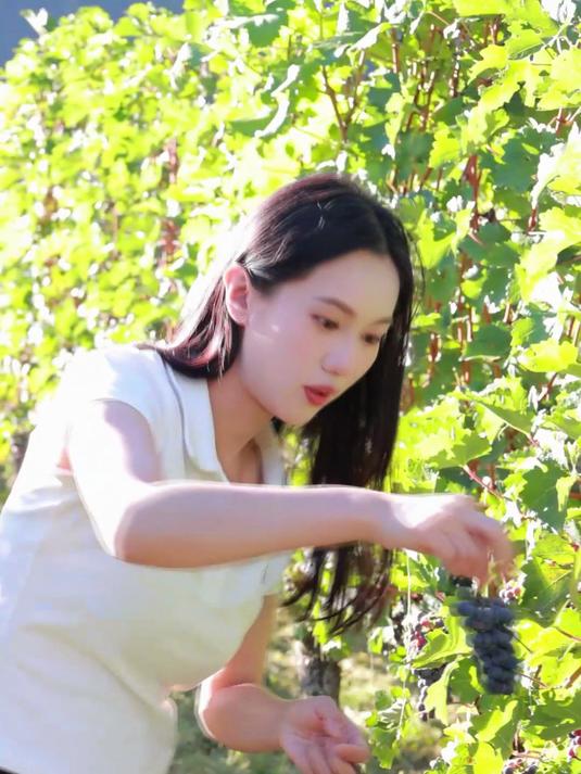 婉儿在葡萄酒庄园