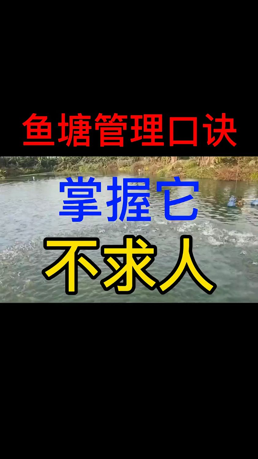 鱼塘管理口诀,掌握它不求人