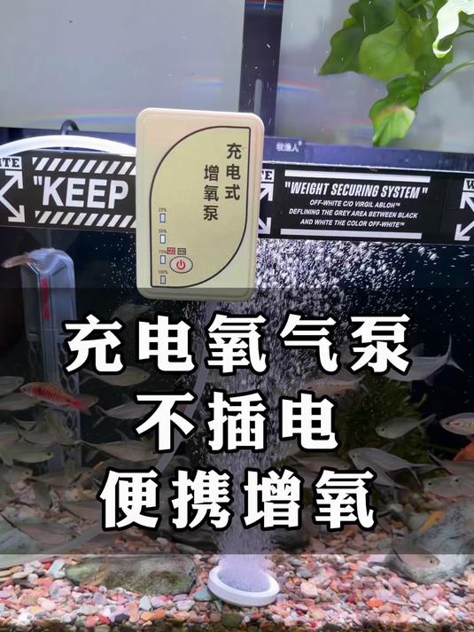 小鱼缸充电氧气泵养鱼小型超静音增氧泵钓鱼专用打氧机小型增氧器#好物推荐#