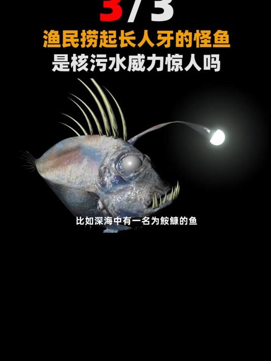 俄罗斯渔民捞到深海怪鱼!牙齿很像人类,是自然生物还是变异了?