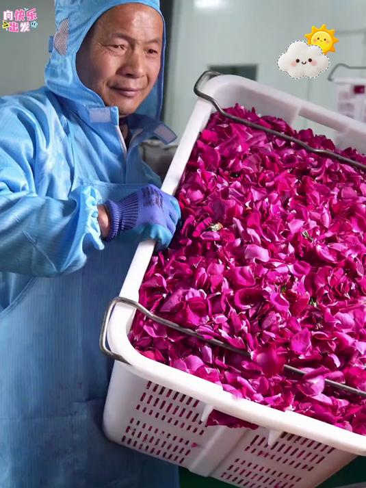 云南特产鲜花饼来了超级好吃又划算太棒了