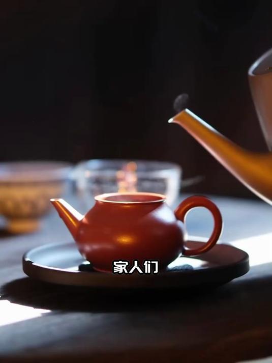 地皮菜食用禁忌大揭秘,三类人群需坚决避开
