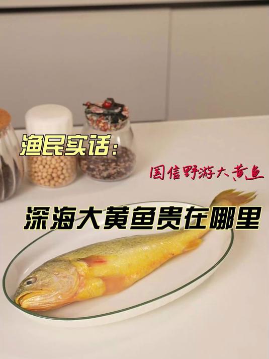 渔民实话:深海大黄鱼贵在哪里#大黄鱼##黄花鱼##海鲜##海鲜美食##海鲜原产地##清蒸鱼