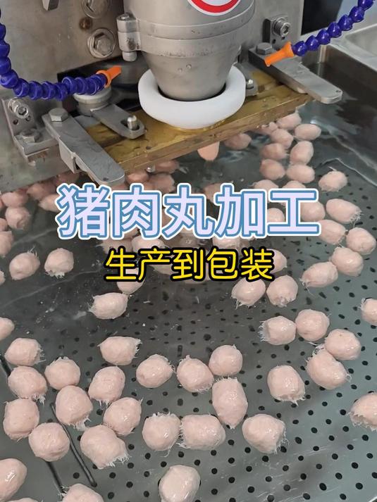 美味的猪肉丸如何加工？从生产到包装，全流程展示