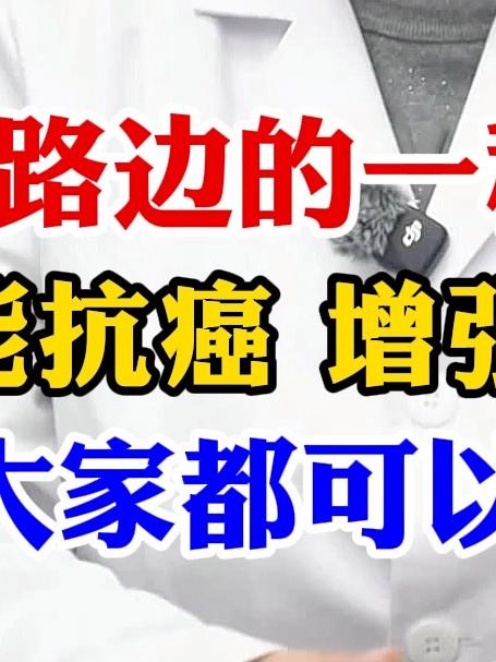 路边的一种野菜 能够抗癌增强免疫力 大家都可以试一试