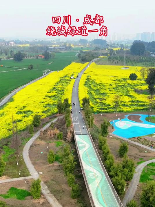 绿道人海笑不活!成都油菜花变“人花”