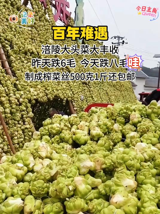 正宗涪陵榨菜丝去皮下饭菜开袋既食独立包装