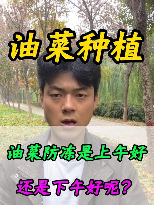 油菜防冻到底什么时间才最好呢?