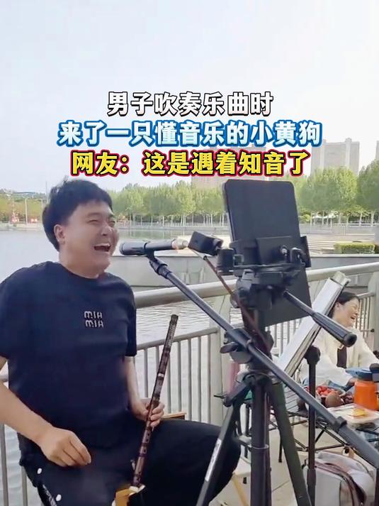 男子吹奏乐曲时,来了一只懂音乐的小黄狗,网友:这是遇着知音了