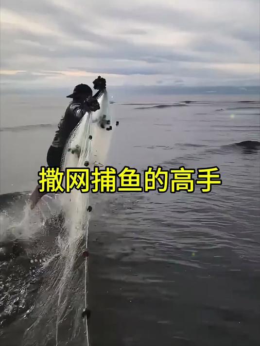 撒网捕鱼的高手