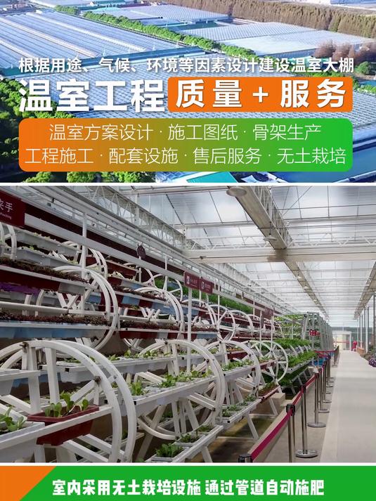 智能温室无土栽培种植技术,适用于现代新型农业生产