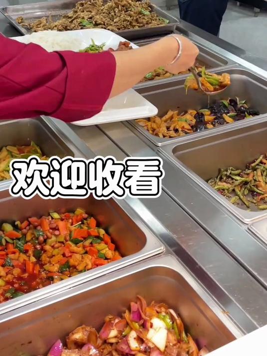 大锅菜的价格小碗菜的味道,新厨师还得是你!大学食堂