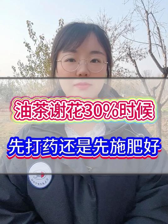 油茶谢花30%的时候,先打药还是先施肥好