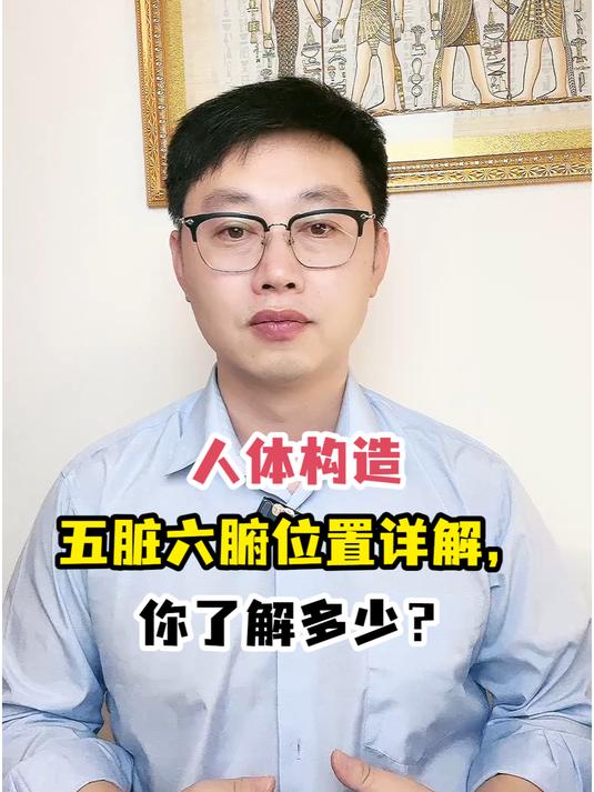 人体构造五脏六腑位置详解,你了解多少?