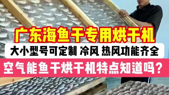 广东海鱼干专用烘干机