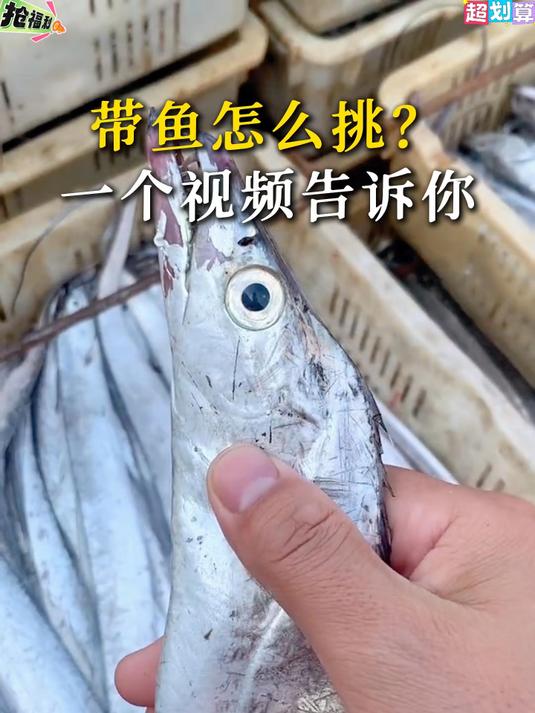 深海小眼带鱼干淡晒鲜香,肉质鲜嫩,煎烤红烧都是下饭佳肴#小眼带鱼##百家号618现金奖励带