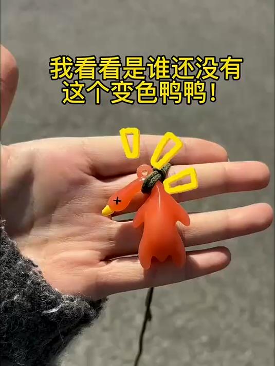 变色烤鸭挂件性价比高!一个顶多个,变色带来多倍快乐