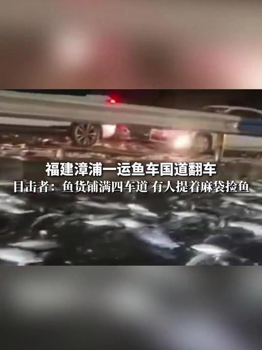 福建漳浦一运鱼车国道翻车,鱼货铺满四车道,有人提着麻袋捡鱼
