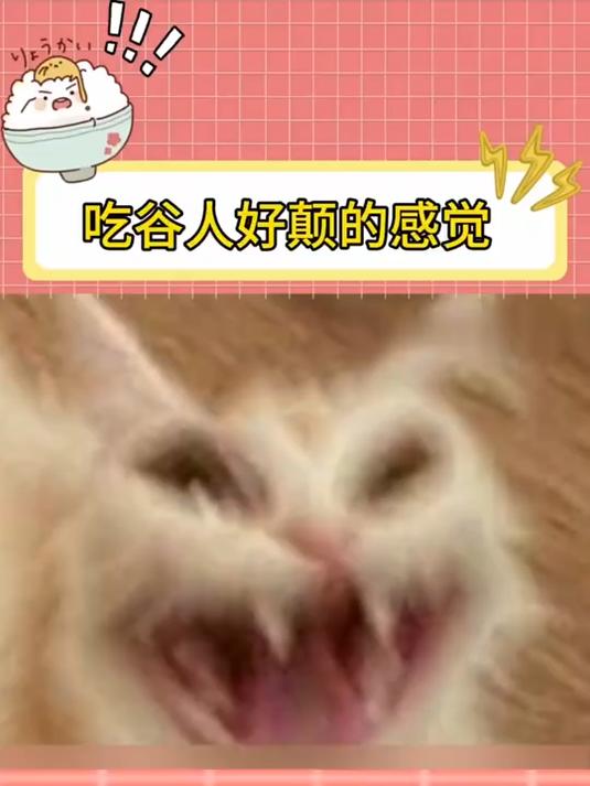 79块的泡芙她嫌贵扭头就走，捆绑动漫周边卖160块，她竟秒付款直呼好价！