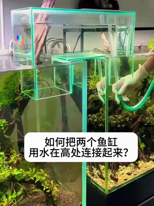 如何把两个鱼缸用水在高处连接起来