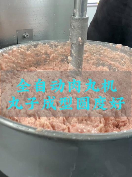 丸子加工成套设备 羊肉丸子成型机 牛筋丸子全自动肉丸机