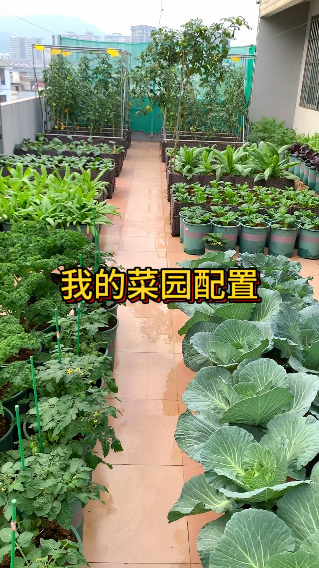 种菜基础装备还是要配备好的