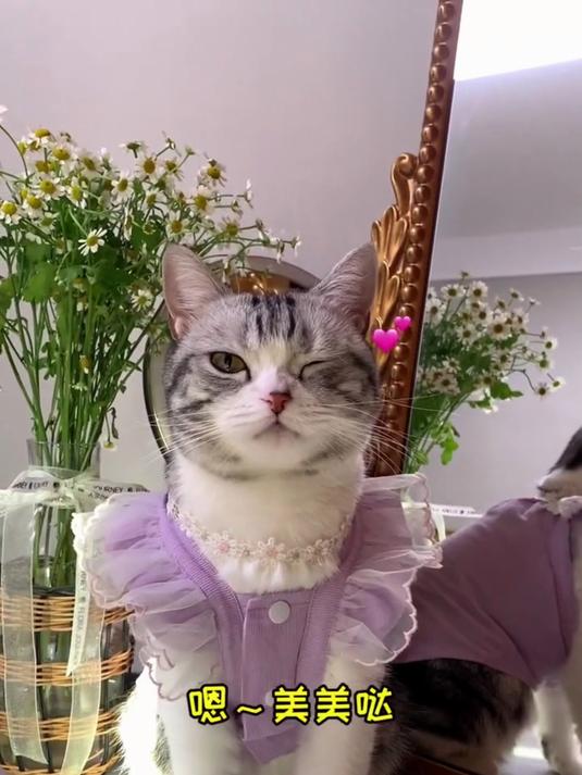 王泡芙第一次坐船！喜欢到不想下船，好奇小模样太戳人