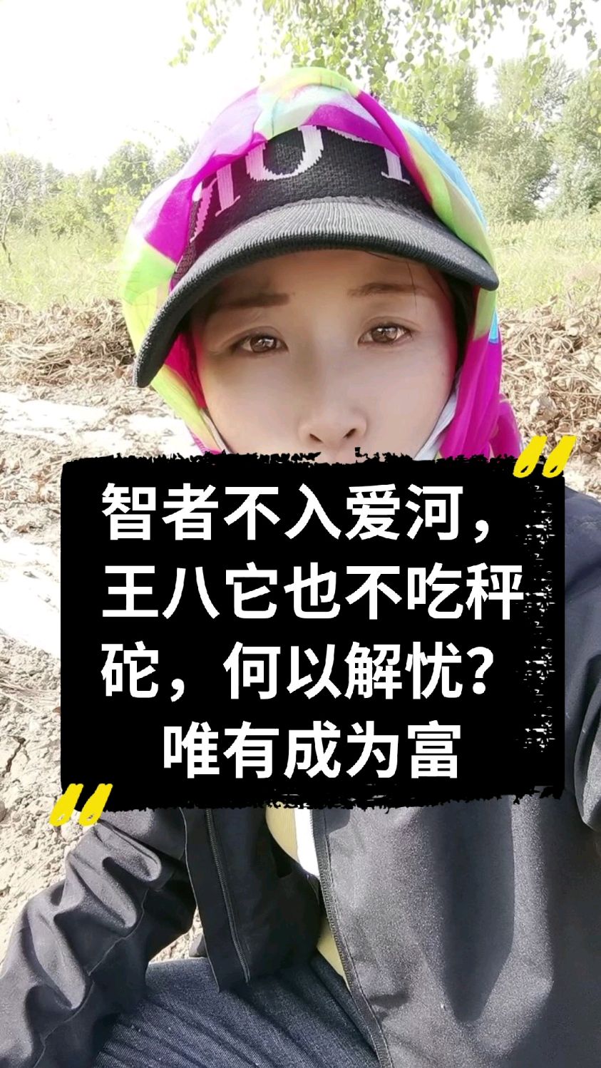 智者不入爱河王八也不吃秤砣。