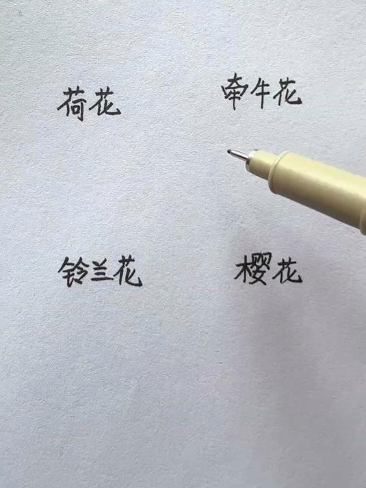 六种常见花卉画法简笔画儿童简笔画一看就会
