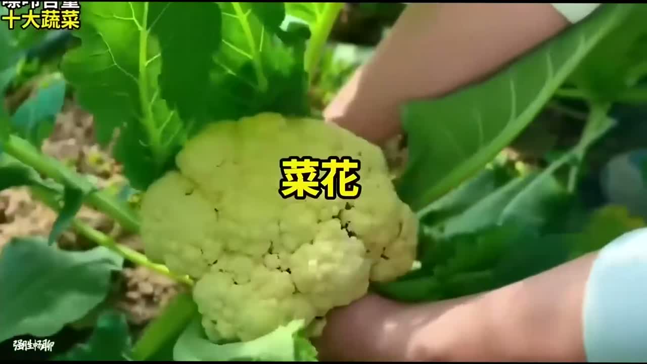 嘌呤含量最高的十种蔬菜！网友：都是爱吃的咋办？天塌了！