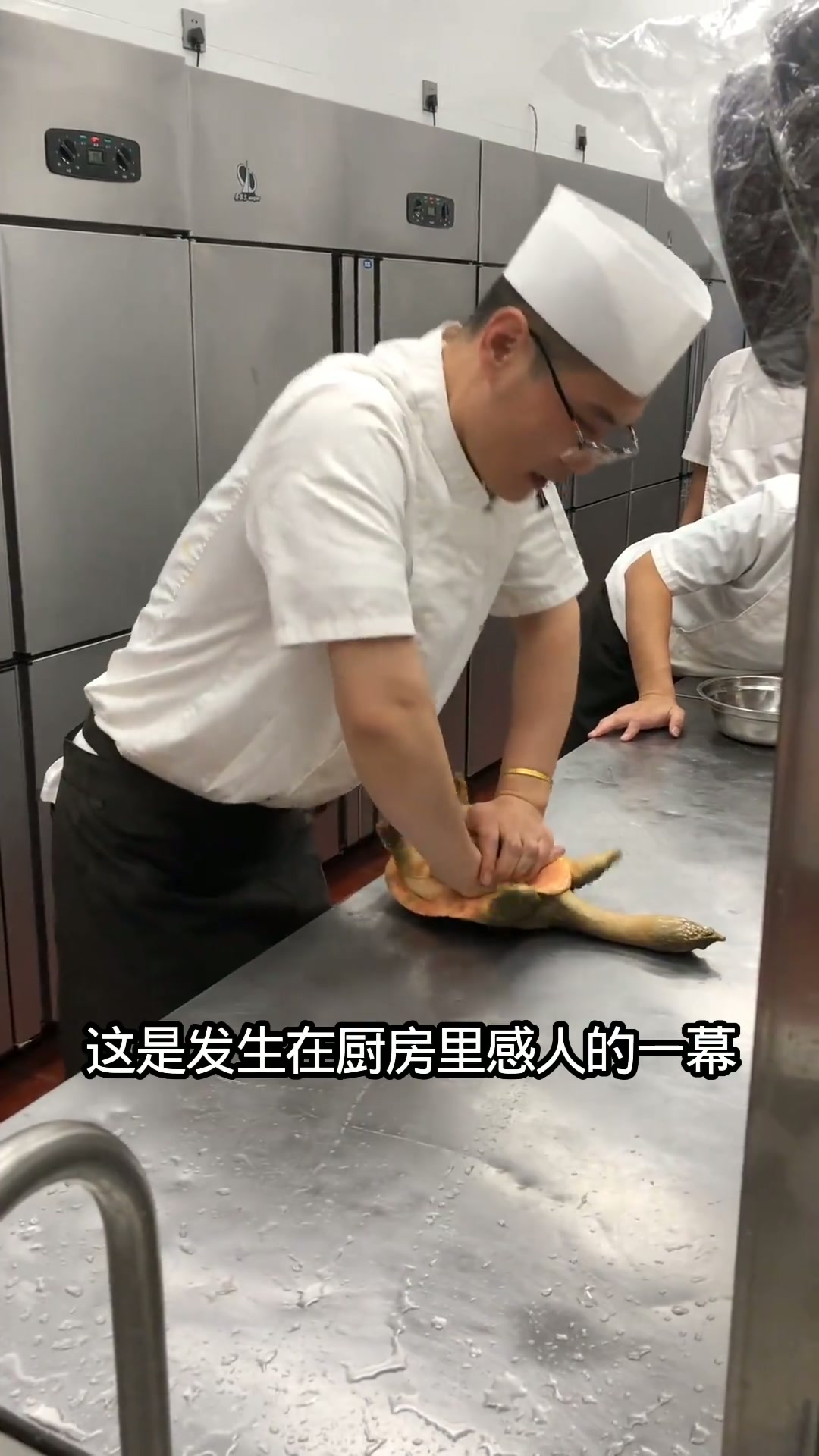 好心小哥放生甲鱼，甲鱼流下感动的泪水