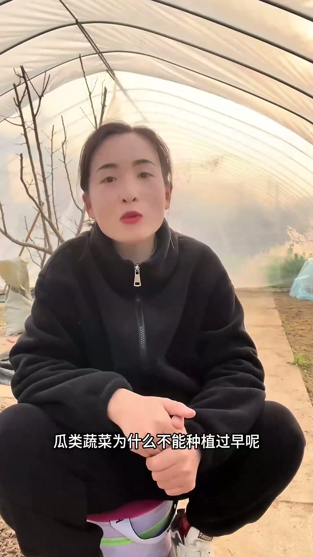 瓜类蔬菜为什么不能种植过早?