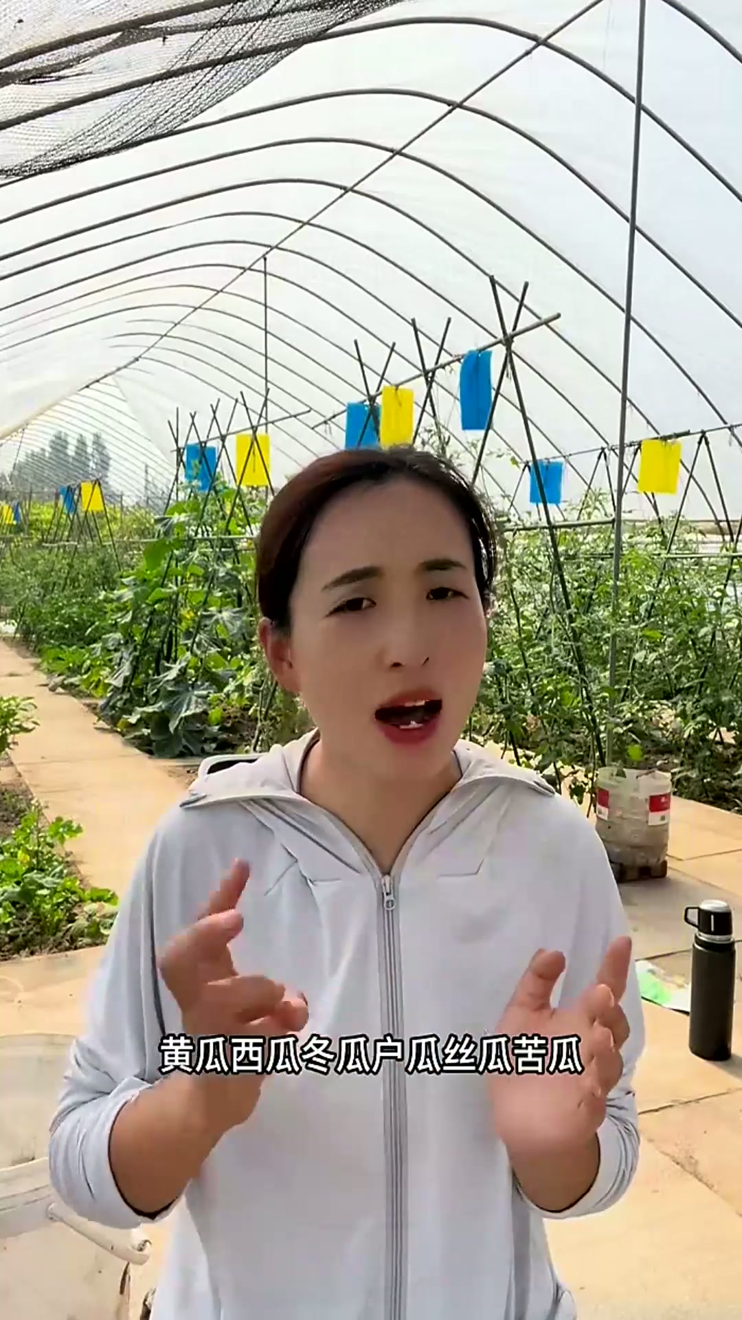 瓜类蔬菜不结瓜什么原因?