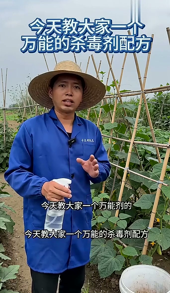 种植自制杀虫剂#种菜# #杀虫剂# #三农种植小知识#