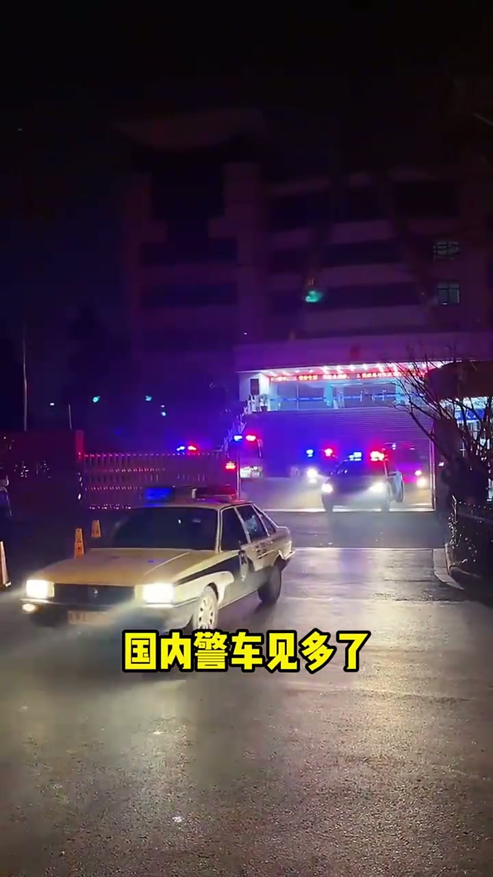 各国警车都用什么品牌的车子