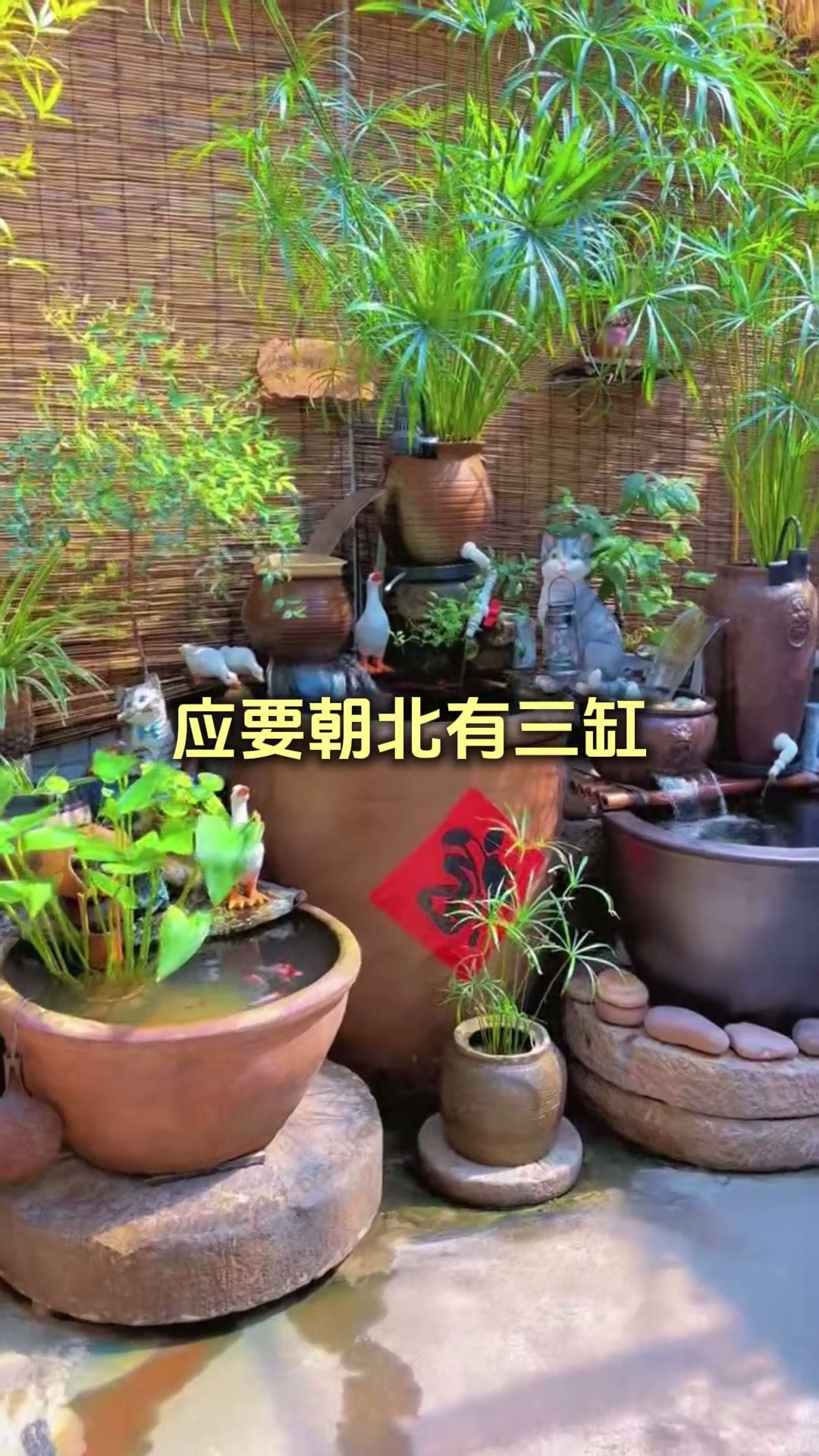 庭院里面放水缸可是有大学问的，一条视频说清楚