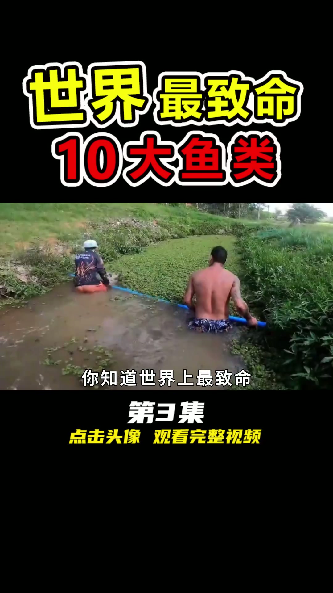地球上“最恐怖”的10大淡水鱼,第一名长15米,以人类为食 