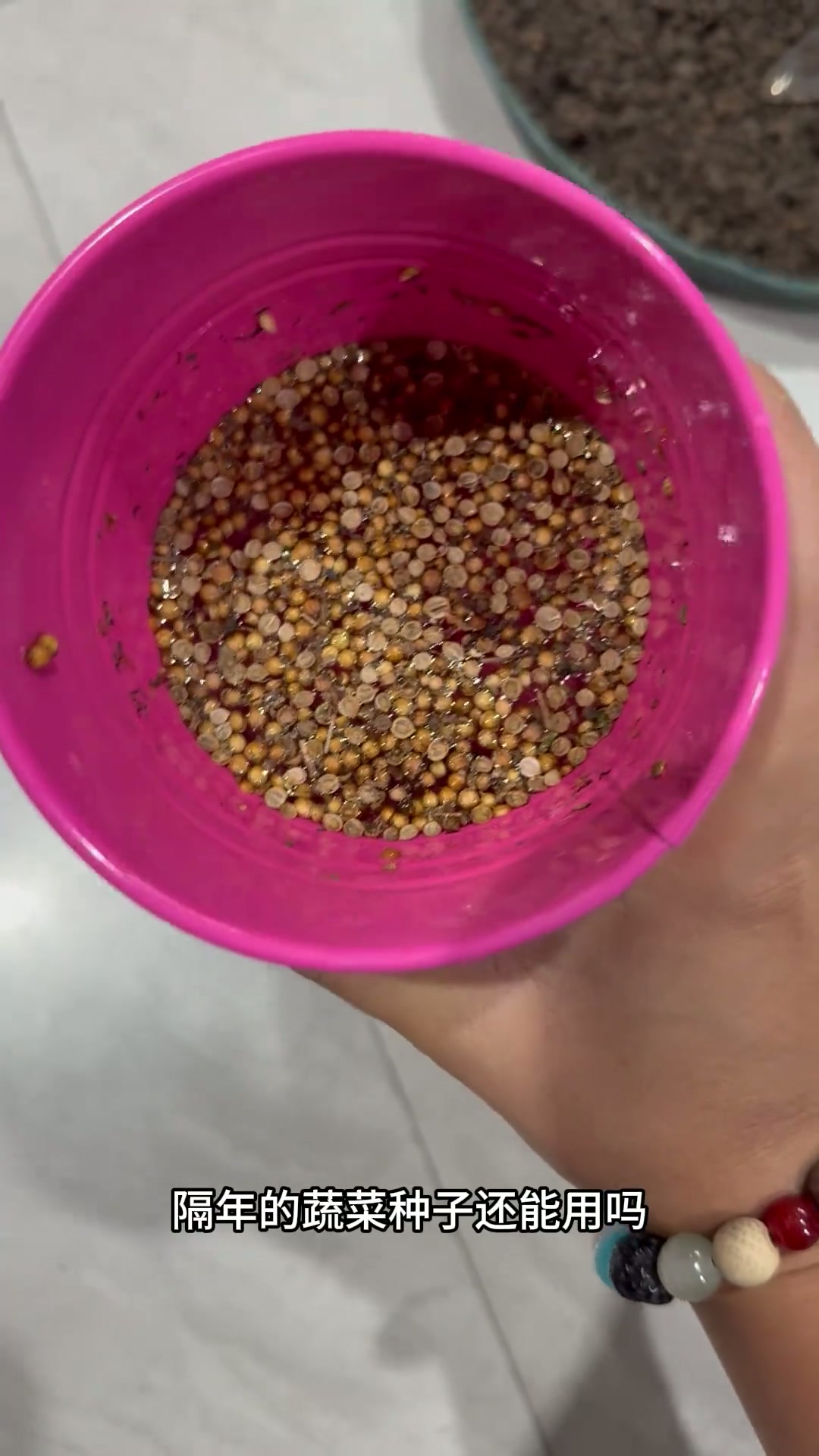 隔年的蔬菜种子还能用吗？