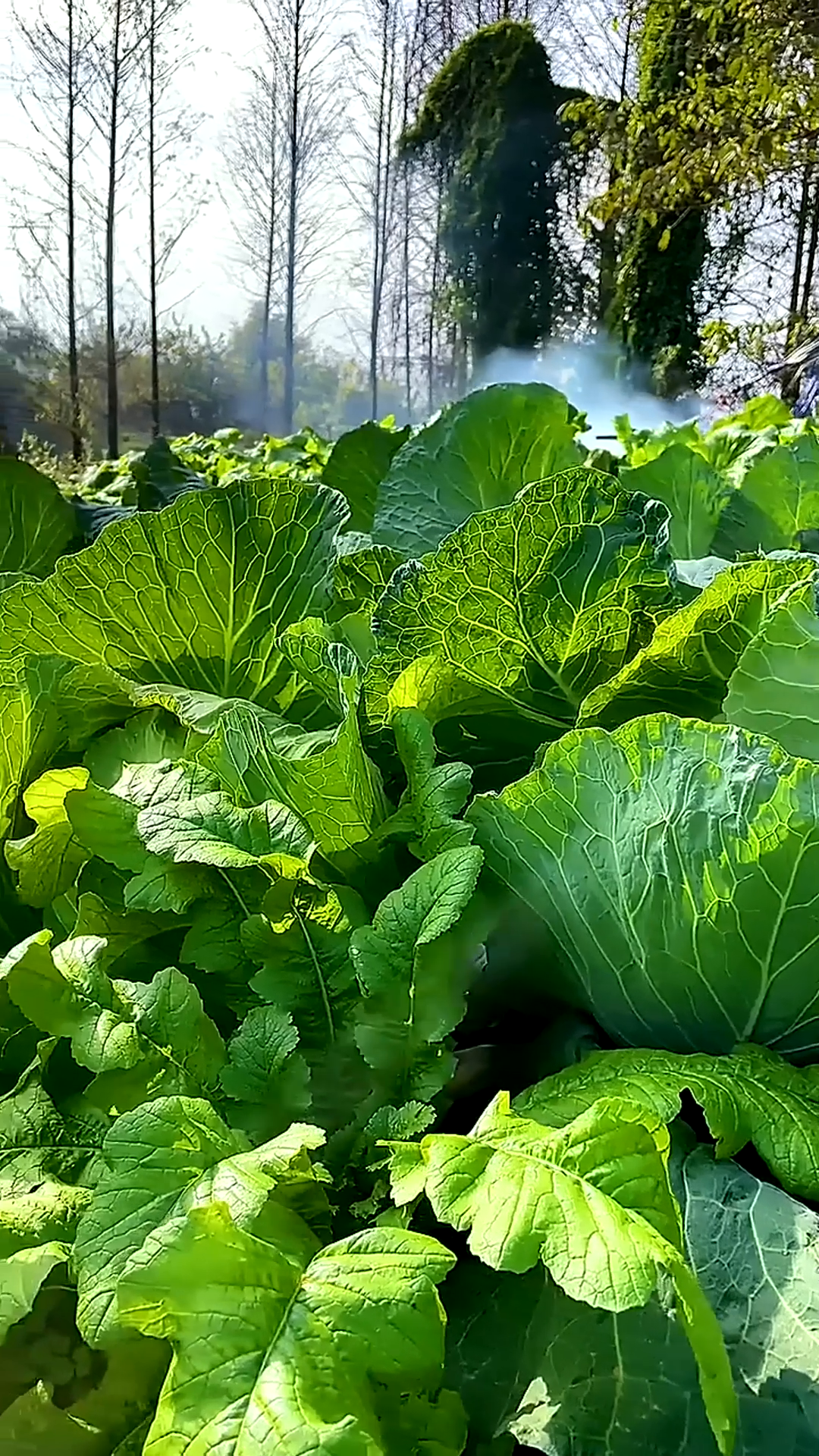 吃上爸妈做的饭菜,不管这一年你经历了什么,终将成为过往。