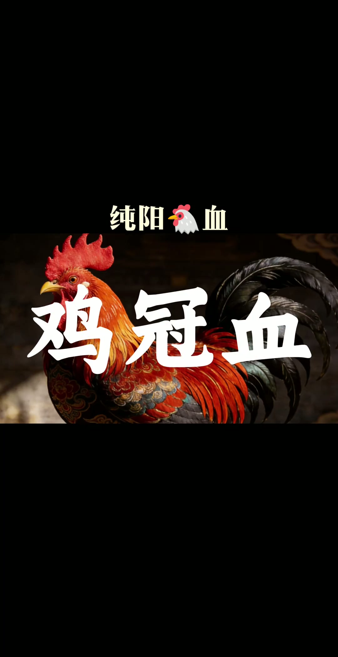 听故事,学中药纯阳公鸡血,救急又辟邪!