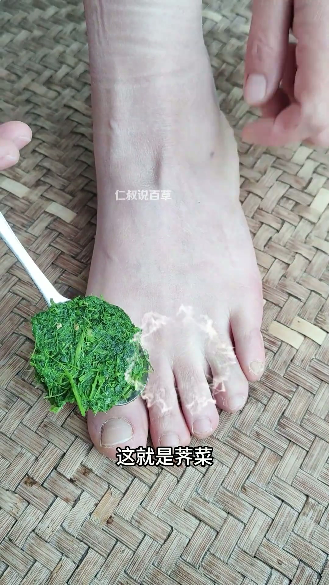 荠菜 冬天里最早冒出来的野菜