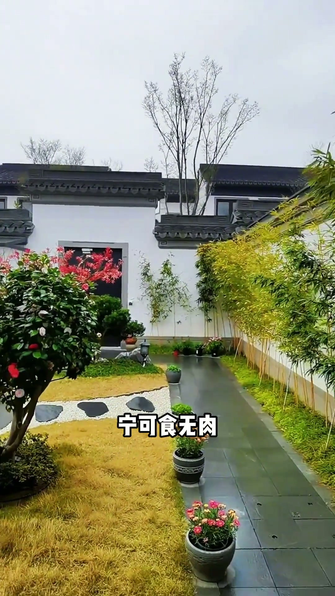 庭院里种竹子注意事项