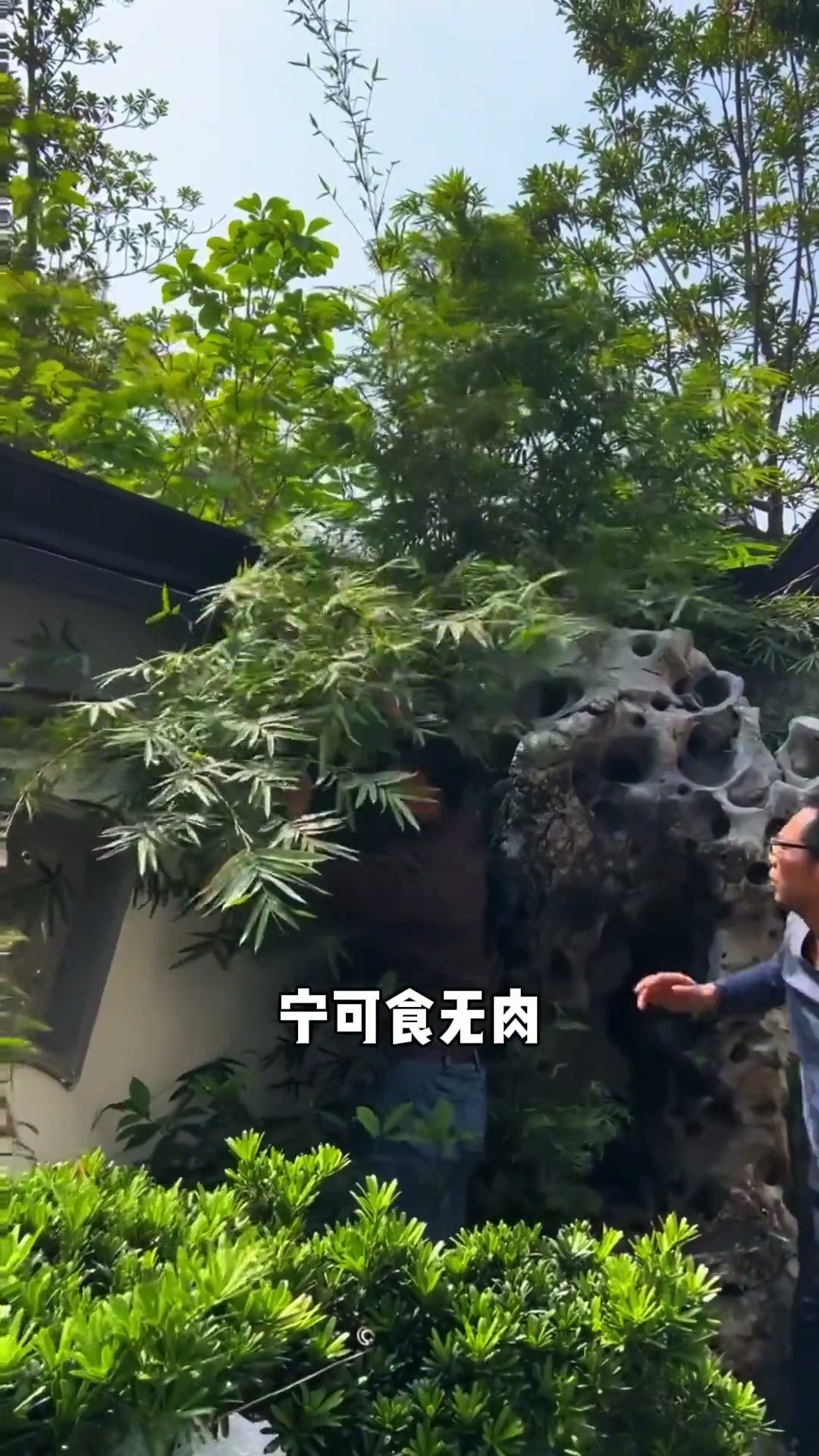 别墅庭院装修适合种哪几种竹子。